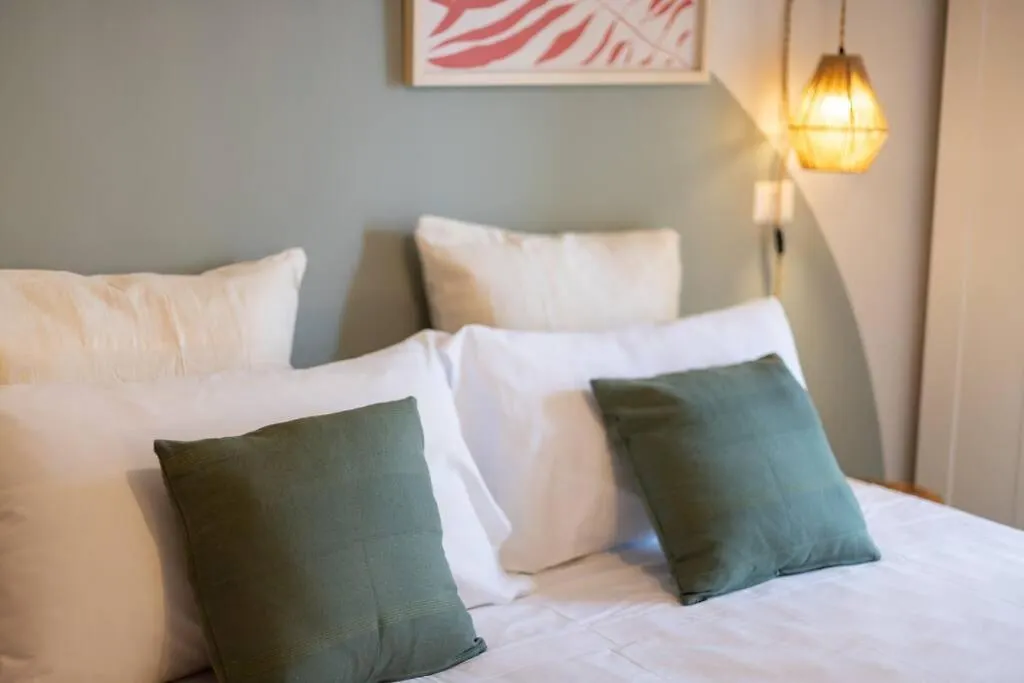 Dafne Rooms Un Soggiorno Energico E Pieno Di Vita Rome Apartment
